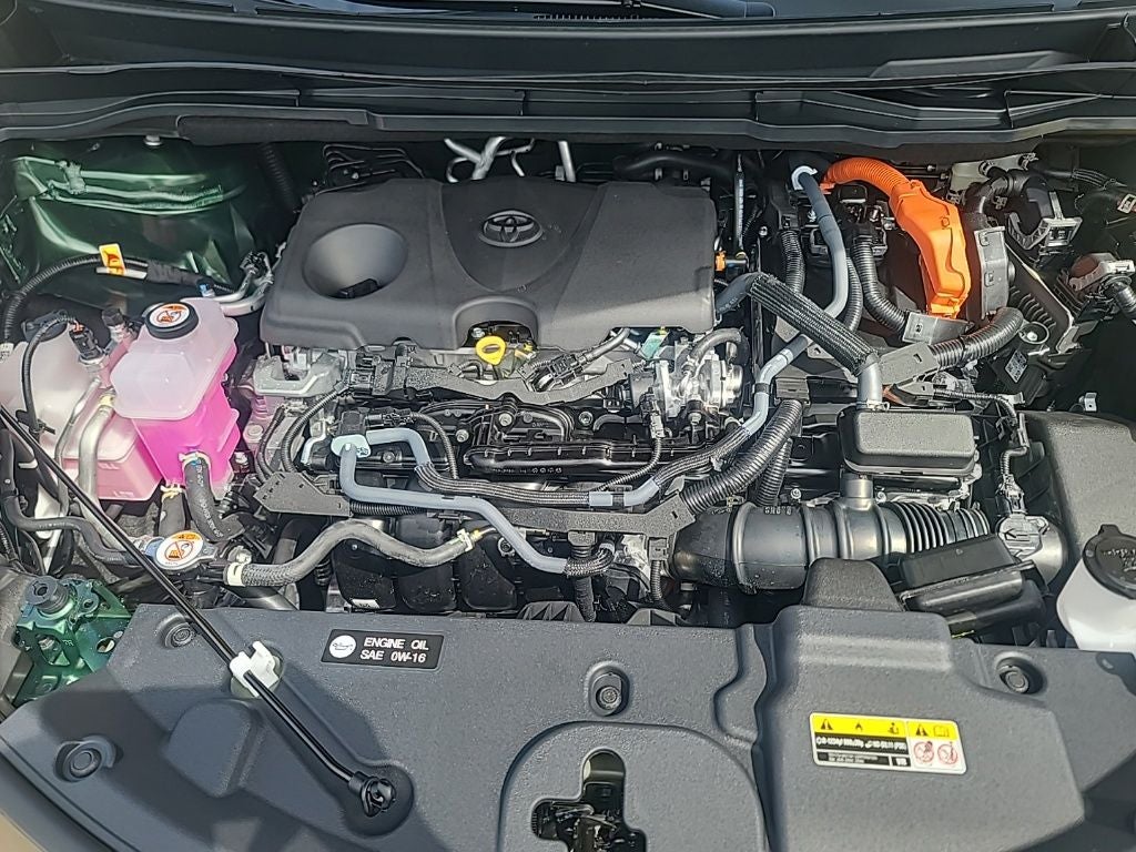 2026 Toyota Sienna Woodland Edition 7 Passenger