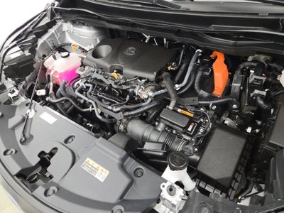 2025 Toyota Sienna XLE 7 Passenger