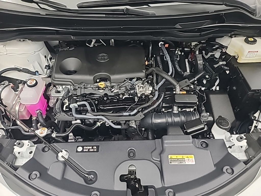 2026 Toyota Sienna LE 8 Passenger