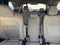 2025 Toyota Sienna LE 8 Passenger