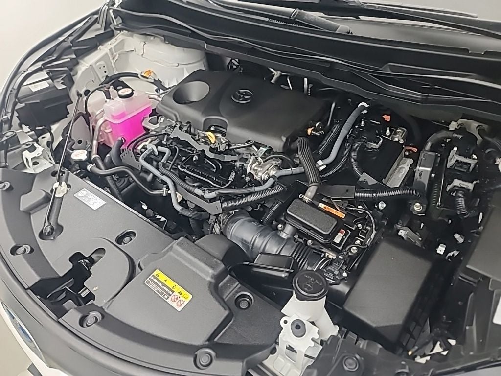 2025 Toyota Sienna LE 8 Passenger