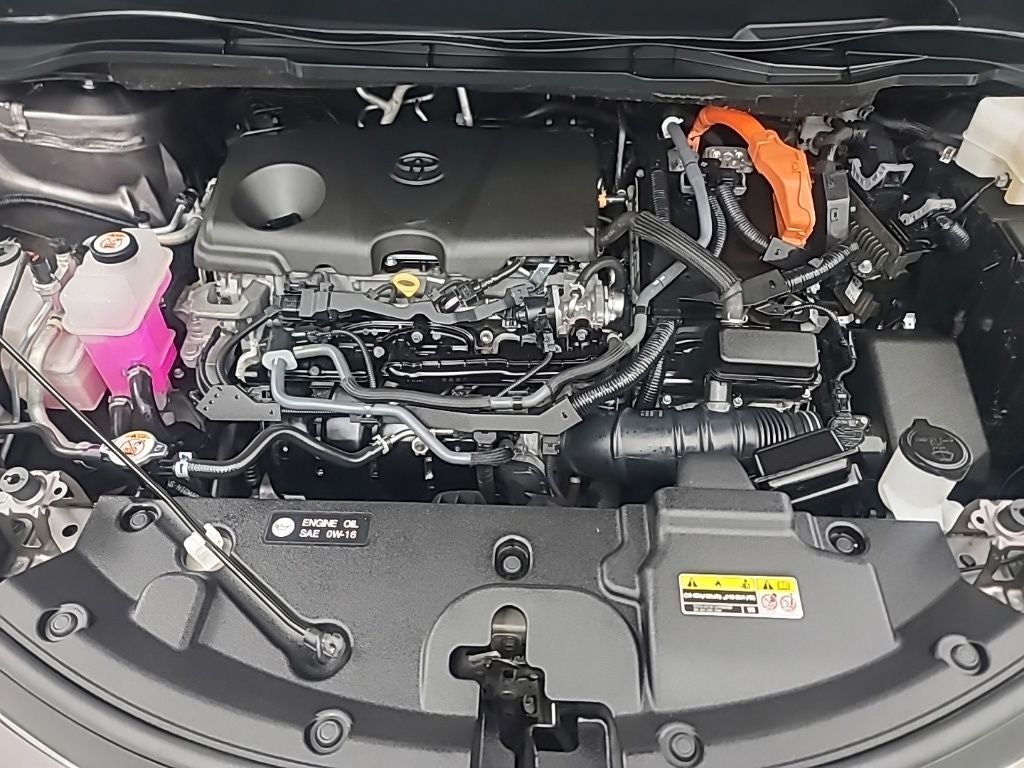 2024 Toyota Sienna LE AWD 8 Passanger