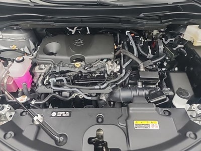 2025 Toyota Sienna XLE 8 Passenger
