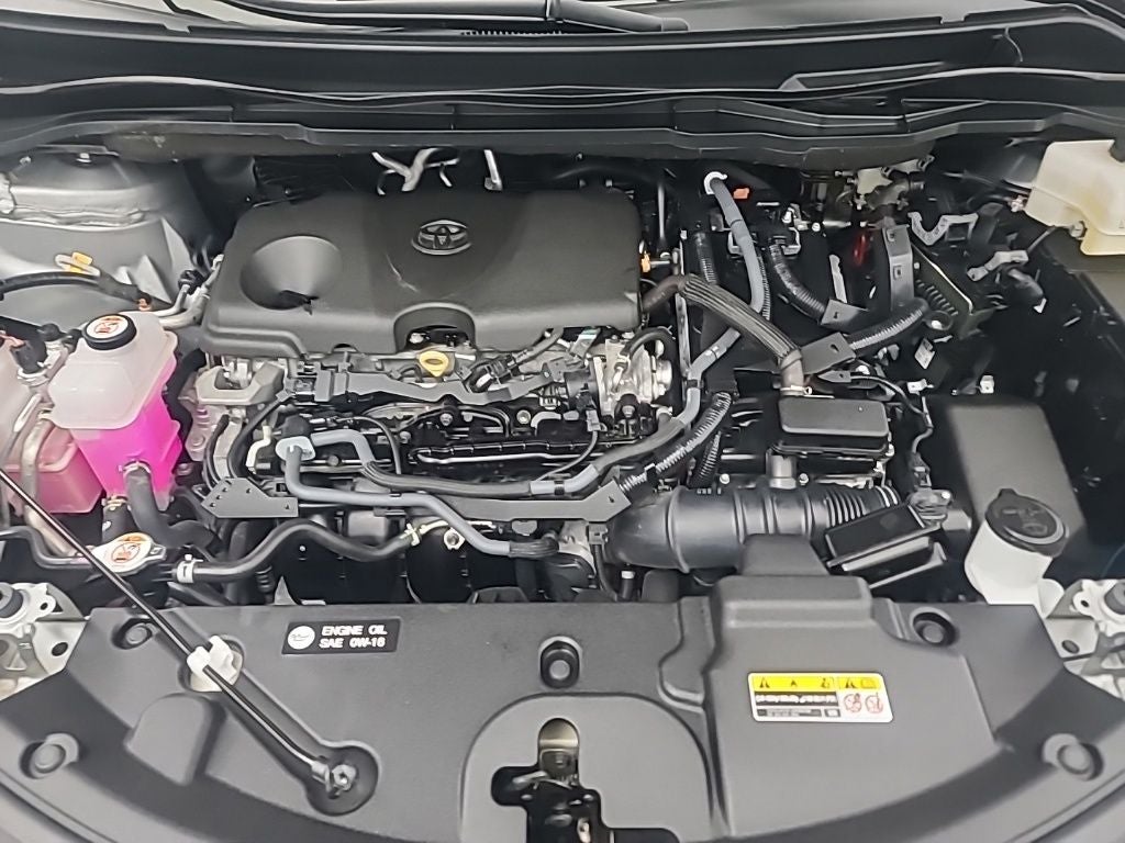2025 Toyota Sienna XLE 8 Passenger