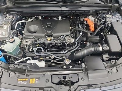 2025 Mazda Mazda CX-50 Premium
