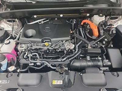 2024 Toyota Venza LE