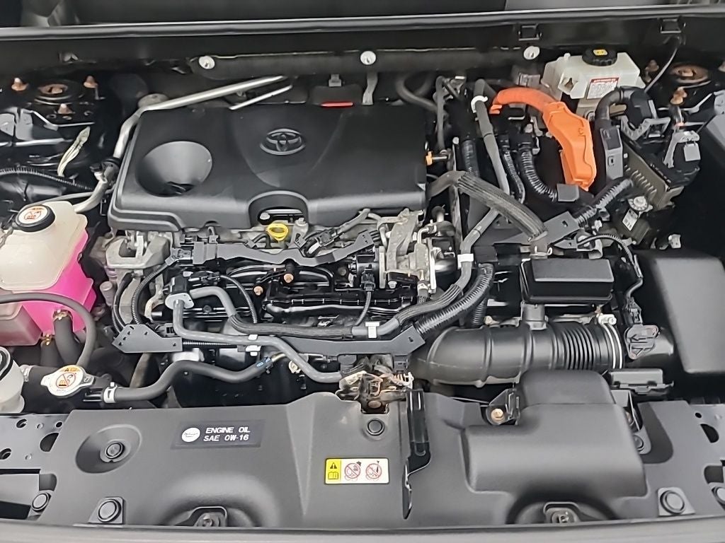 2019 Toyota RAV4 HYBRID LE