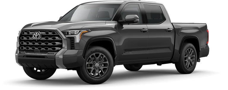 2022 Toyota Tundra Platinum in Magnetic Gray Metallic | Arlington Toyota in Palatine IL