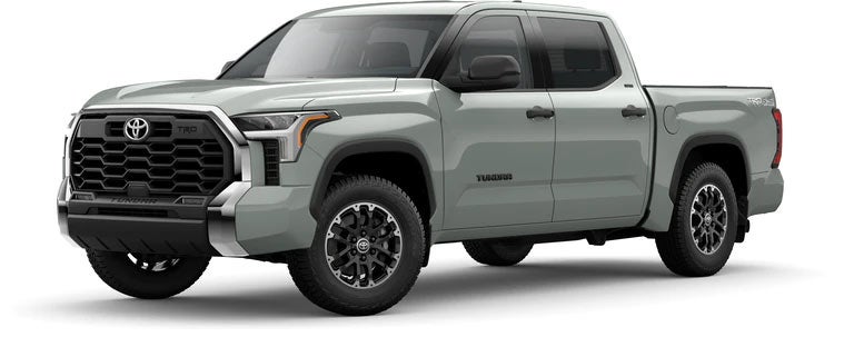 2022 Toyota Tundra SR5 in Lunar Rock | Arlington Toyota in Palatine IL